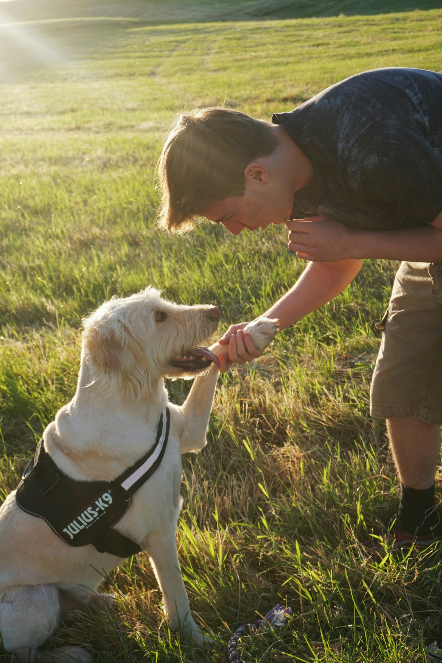 Achtsame Kommunikation zwischen Mensch und Hund