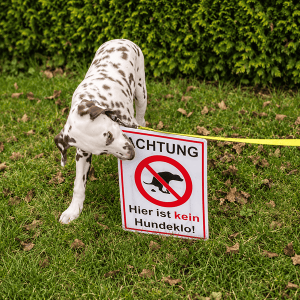 Achtung: innere Hundeklos