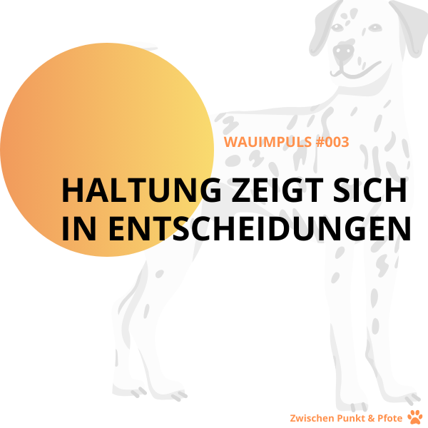 Haltung zeigt sich in Entscheidungen