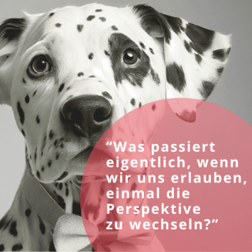 Perspektivwechsel- 600x600