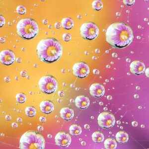 Side-Teaser-Achtsamkeit-Tropfen-300x300