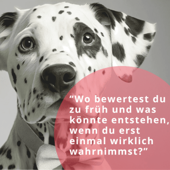 Wo bewertest du zu früh-Dalmatiner Denken-600x600