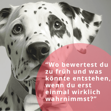 Wo bewertest du zu früh-Dalmatiner Denken-600x600