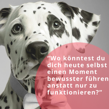 “Wo nimmst du im Alltag kleine Signale wahr, die mehr über Führung verraten als jedes Konzept” (4)