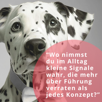 dotsforlife-Dalmatiner-Denken-ReflexionsPUNKT-#02-600x600